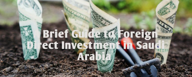 A Brief Guide to Foreign Direct Investment in Saudi Arabia