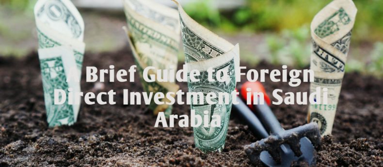 A Brief Guide to Foreign Direct Investment in Saudi Arabia