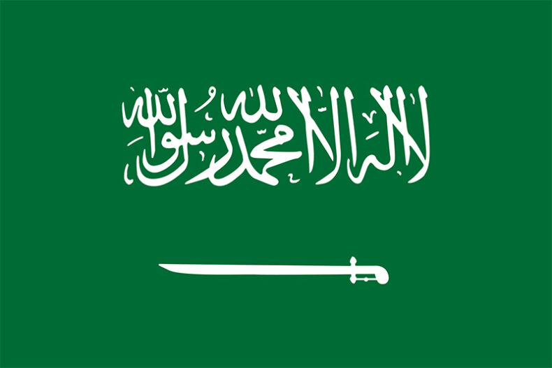 The Saudi Data and AI Authority